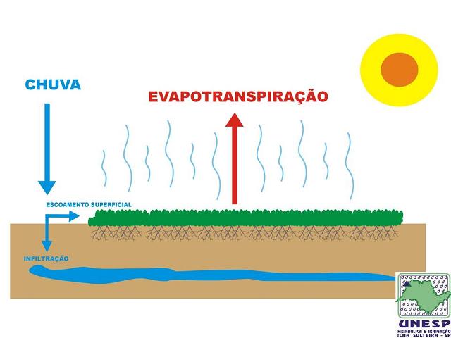 fernandopolis_25abr2012 (56).JPG